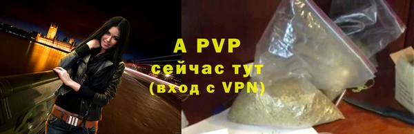 гашик Богородск