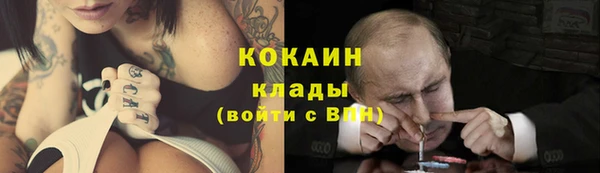 apvp Богородицк