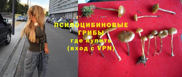 apvp Богородицк