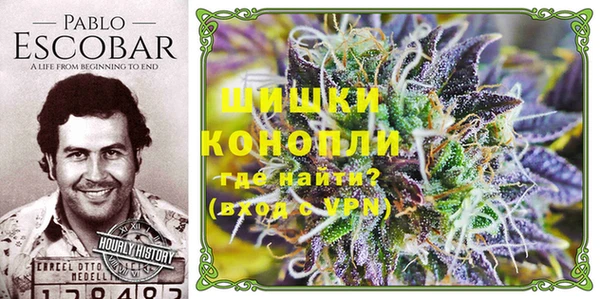 apvp Богородицк