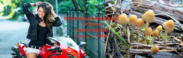 jwh Богданович