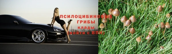 гашик Богородск