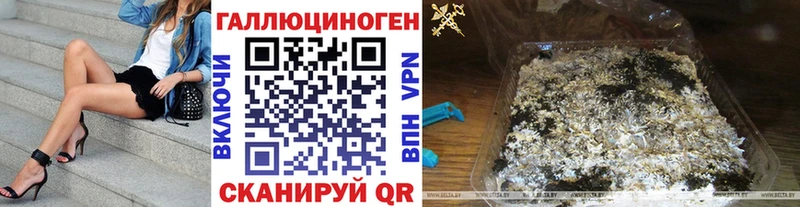 ОМГ ОМГ tor  Буй  Галлюциногенные грибы Psilocybine cubensis 